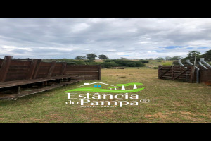 CABANHA À VENDA NO RS.00_01_07_22.Quadro068_3dc61ab8e6698ecc67aacbb2460a476e0699d5ef.jpg